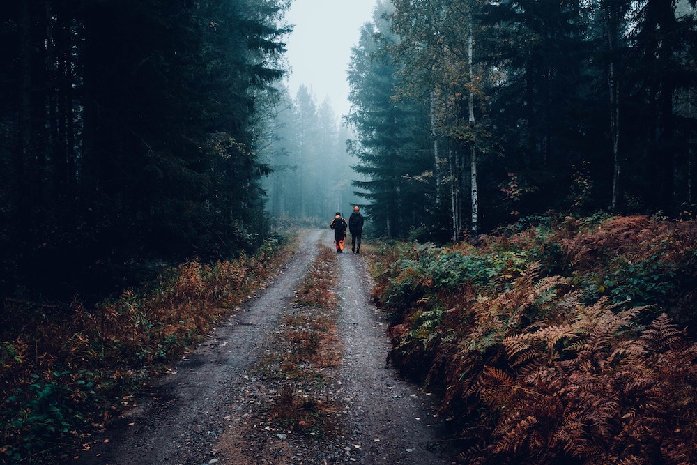 Skogsväg med jägare som går 