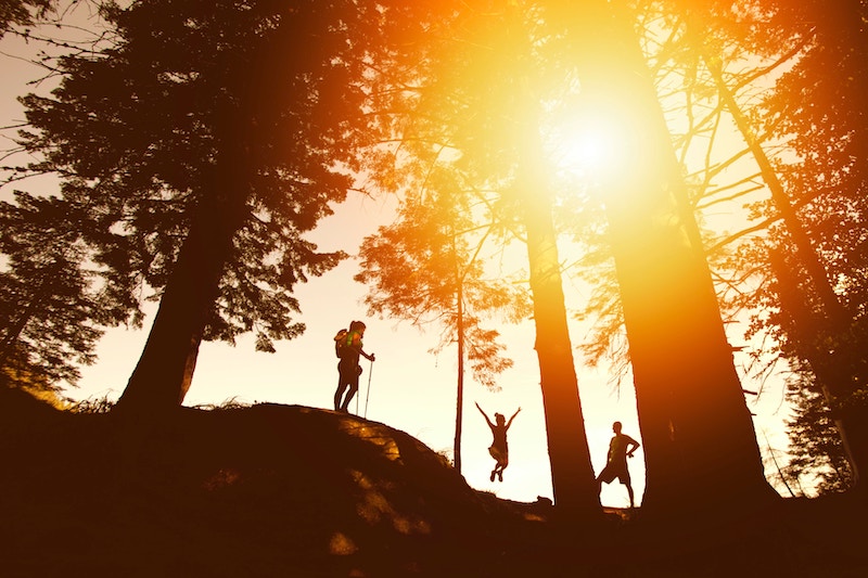 hikers in the forest during sunset